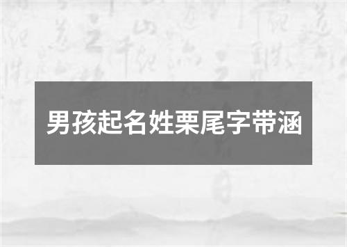 男孩起名姓栗尾字带涵