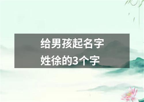 给男孩起名字姓徐的3个字