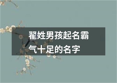 翟姓男孩起名霸气十足的名字