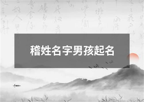 稽姓名字男孩起名