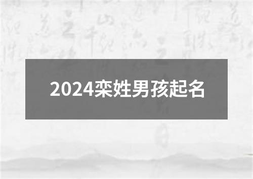 2024栾姓男孩起名