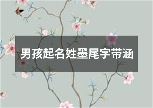 男孩起名姓墨尾字带涵