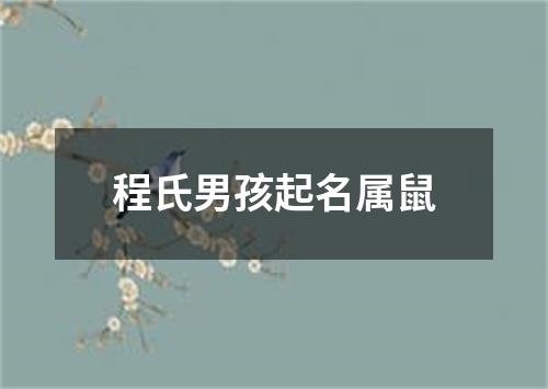 程氏男孩起名属鼠