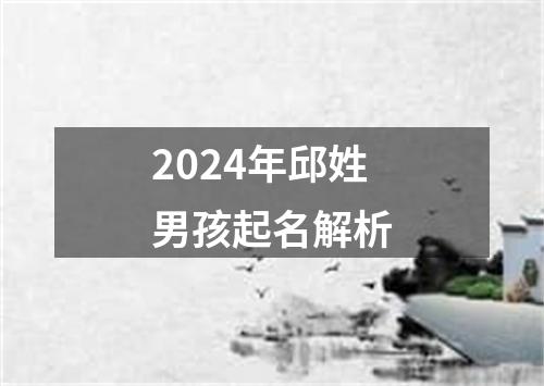 2024年邱姓男孩起名解析