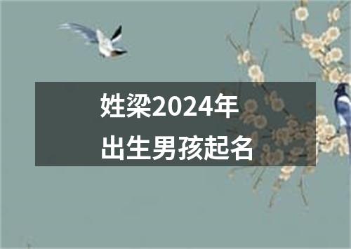 姓梁2024年出生男孩起名