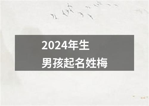 2024年生男孩起名姓梅