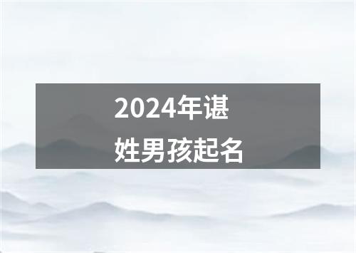 2024年谌姓男孩起名