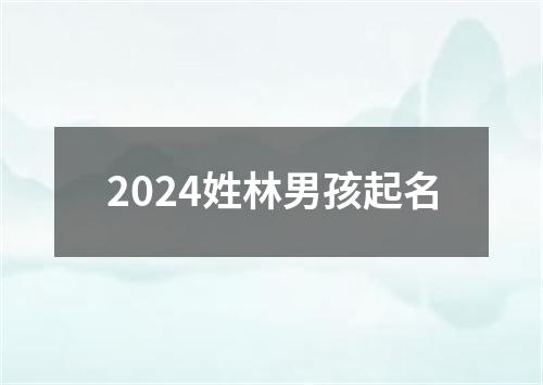 2024姓林男孩起名