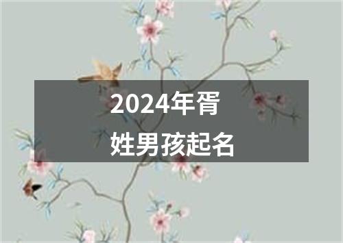 2024年胥姓男孩起名