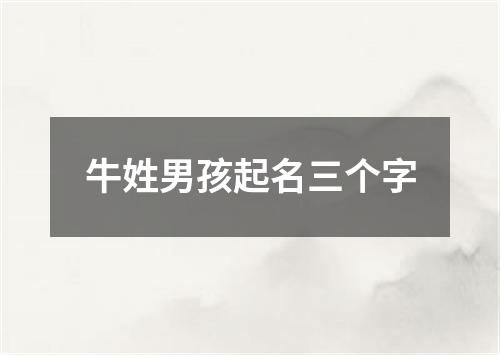 牛姓男孩起名三个字