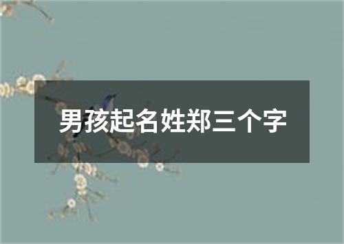 男孩起名姓郑三个字