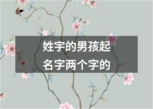 姓宇的男孩起名字两个字的