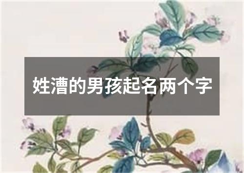 姓漕的男孩起名两个字