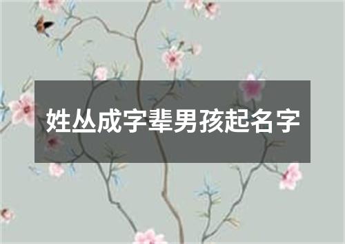 姓丛成字辈男孩起名字