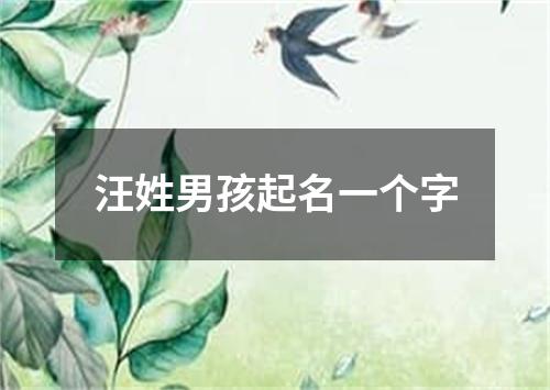 汪姓男孩起名一个字