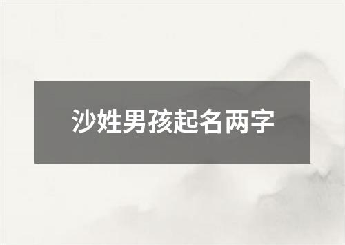 沙姓男孩起名两字