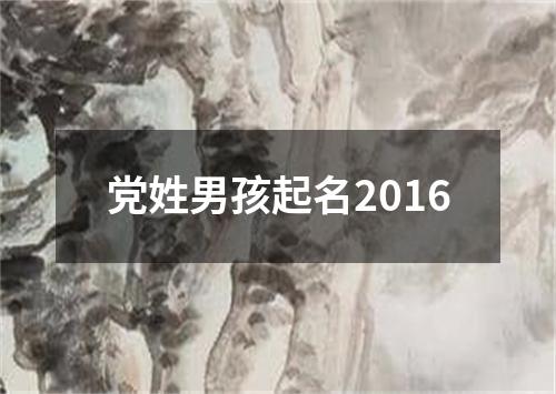 党姓男孩起名2016