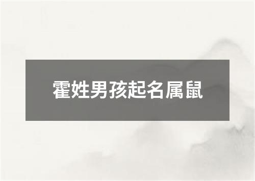 霍姓男孩起名属鼠