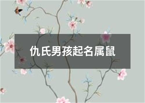 仇氏男孩起名属鼠