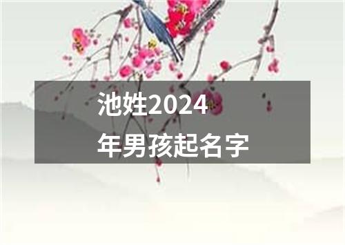 池姓2024年男孩起名字