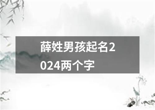 薛姓男孩起名2024两个字