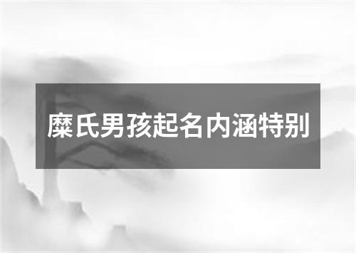 糜氏男孩起名内涵特别