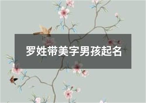 罗姓带美字男孩起名