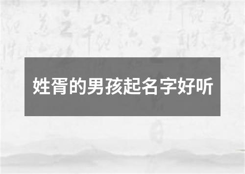 姓胥的男孩起名字好听