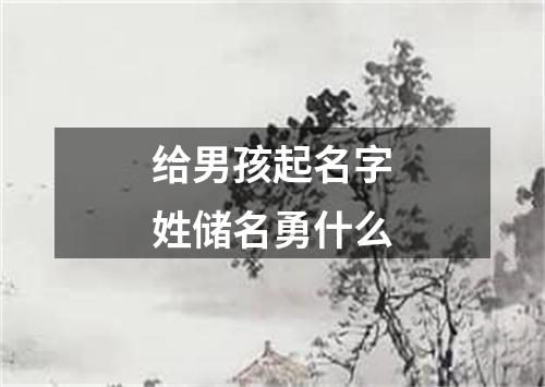 给男孩起名字姓储名勇什么