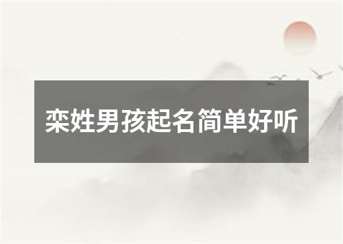 栾姓男孩起名简单好听