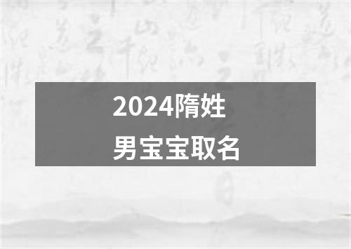 2024隋姓男宝宝取名