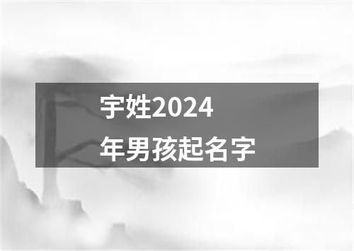 宇姓2024年男孩起名字