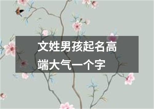 文姓男孩起名高端大气一个字