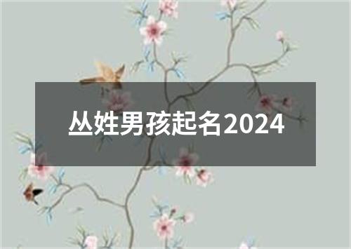 丛姓男孩起名2024