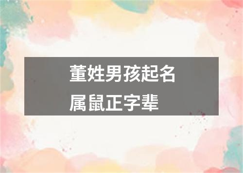 董姓男孩起名属鼠正字辈