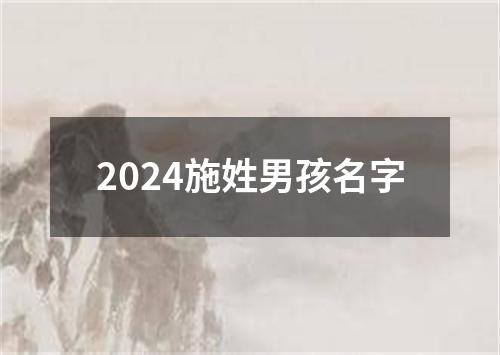 2024施姓男孩名字