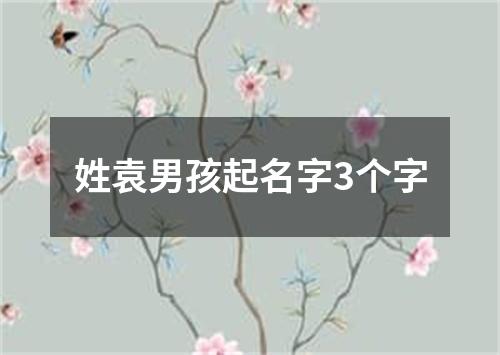 姓袁男孩起名字3个字