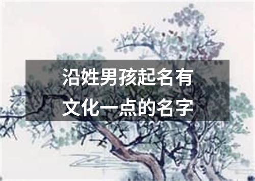 沿姓男孩起名有文化一点的名字