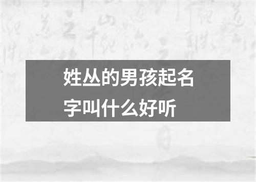 姓丛的男孩起名字叫什么好听