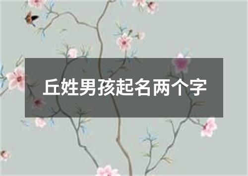 丘姓男孩起名两个字