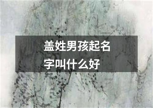 盖姓男孩起名字叫什么好