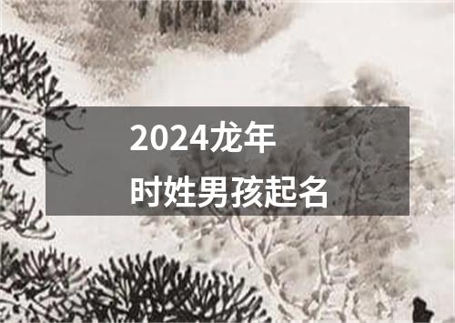 2024龙年时姓男孩起名