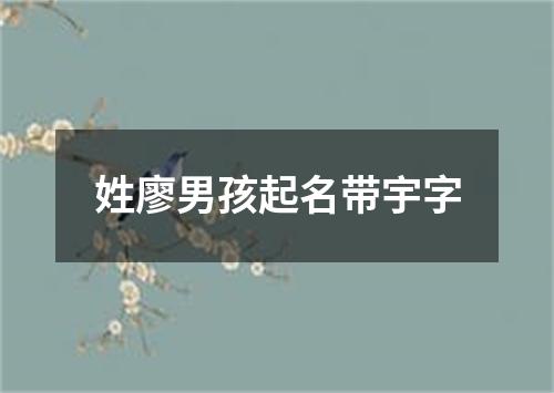 姓廖男孩起名带宇字