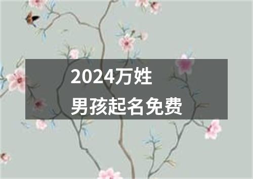 2024万姓男孩起名免费