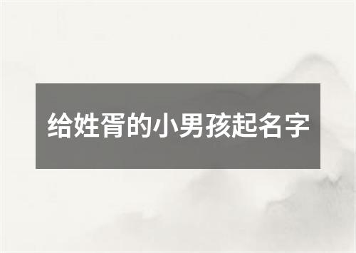 给姓胥的小男孩起名字