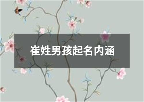 崔姓男孩起名内涵