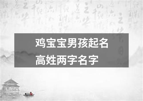 鸡宝宝男孩起名高姓两字名字