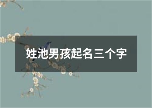 姓池男孩起名三个字