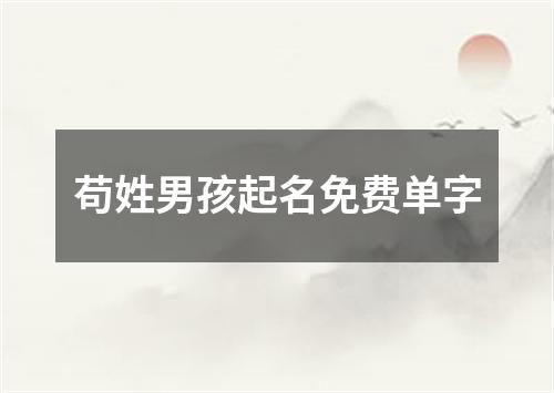 苟姓男孩起名免费单字