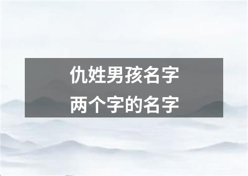 仇姓男孩名字两个字的名字